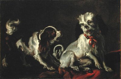 Perros jugando de European School